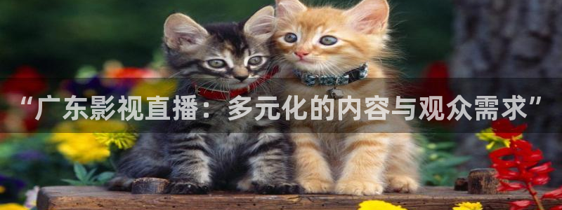 四虎影院麻豆：“广东影视直播：多元化的内容与观众需求”