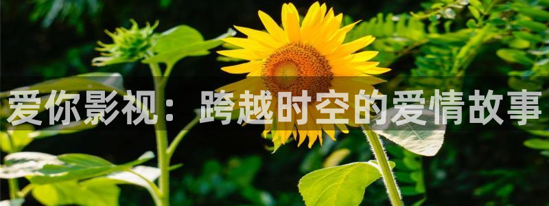 天天看片麻豆：爱你影视：跨越时空的爱情故事