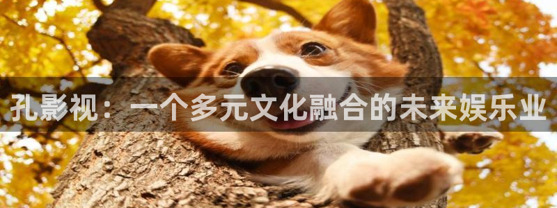 午夜电影麻豆：孔影视：一个多元文化融合的未来娱乐业